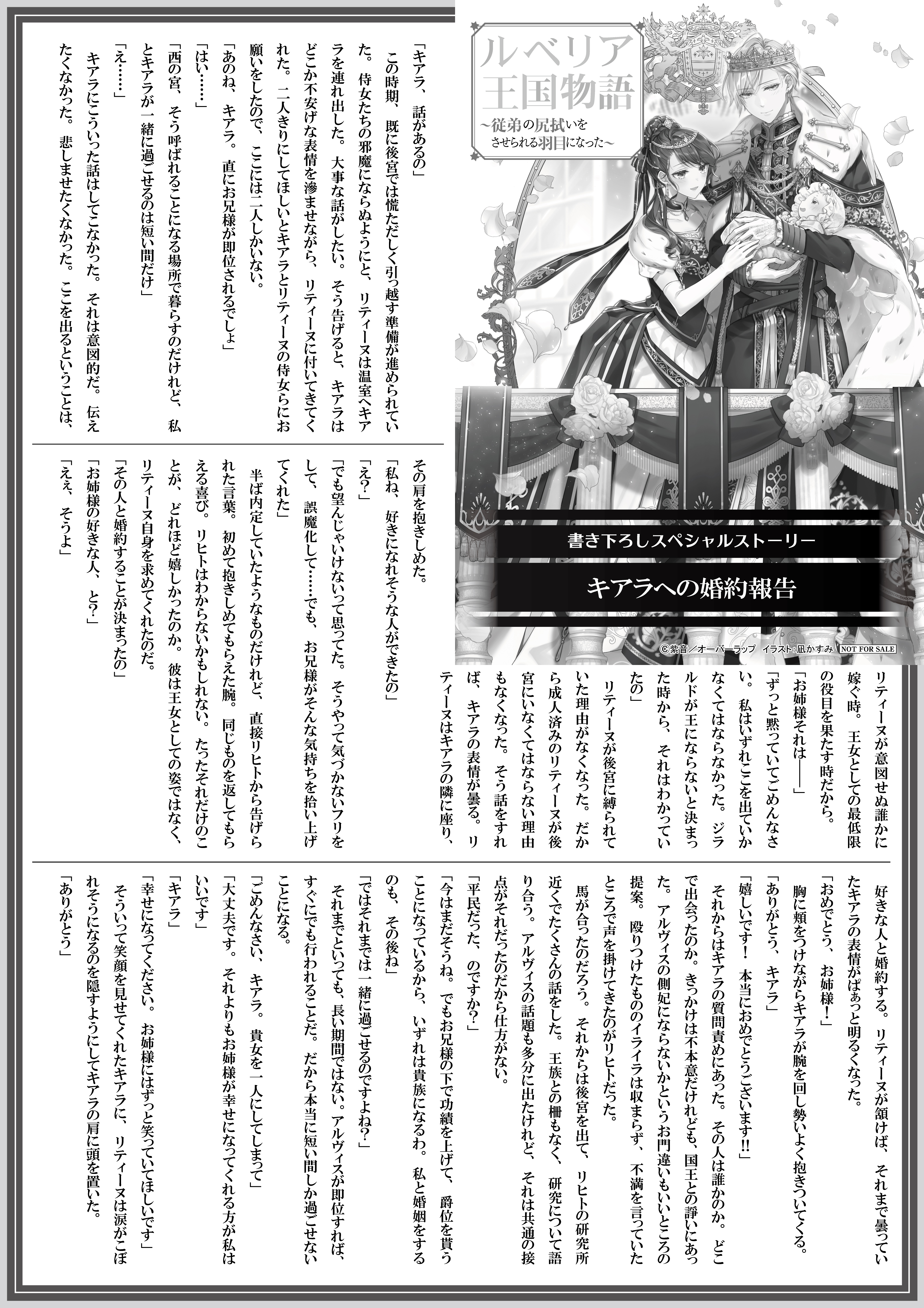 【ノベルス】【特約店】『ルベリア王国物語 9』A4SSペーパー